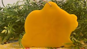 Beeswax Pumpkin - Painted or Plain