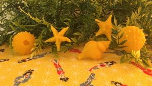 Beeswax Sea Life - Set of Five