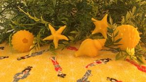 Beeswax Sea Life - Set of Five