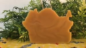 Noah's Ark Beeswax Art with Optional Glass
