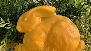 Beeswax Bunny in the Grass