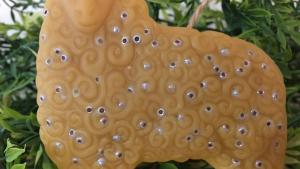 Beeswax Woolly Sheep with Glass or Beads