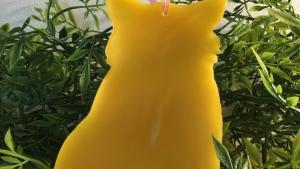 Beeswax Fluffy Cat with Flowers