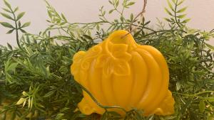 Beeswax Pumpkin - Painted or Plain