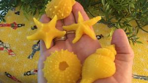 Beeswax Sea Life - Set of Five