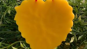 I Love You Beeswax Heart