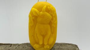 Beeswax Adorable Bunny with Daffodils Block