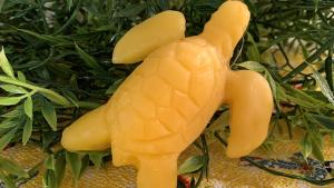 Beeswax Sea Turtle