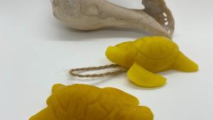 Beeswax Sea Turtle