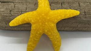 Beeswax Starfish