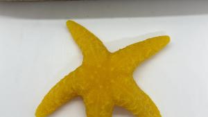 Beeswax Starfish