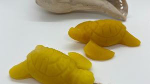 Beeswax Sea Turtle