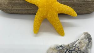 Beeswax Starfish