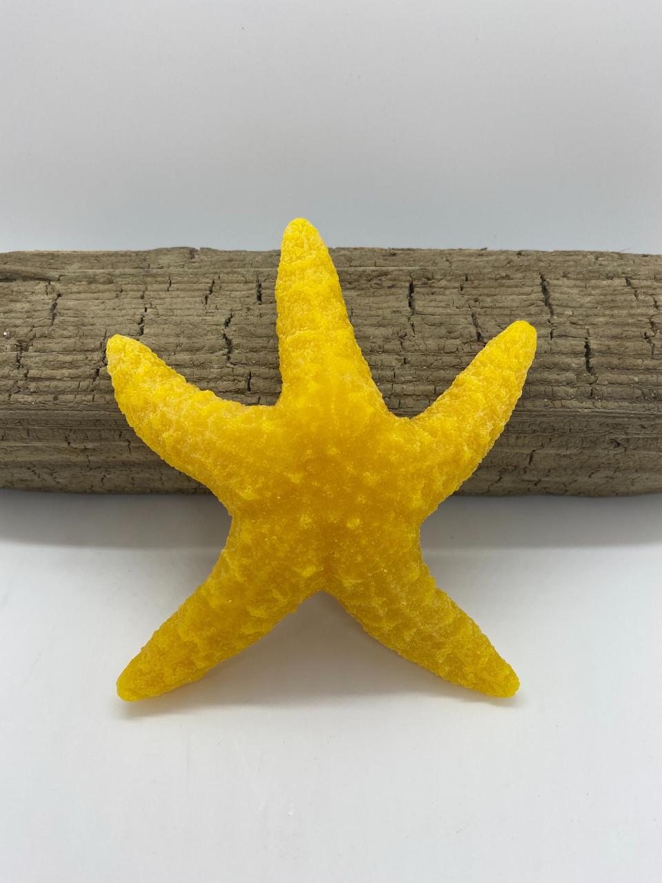 Beeswax Starfish