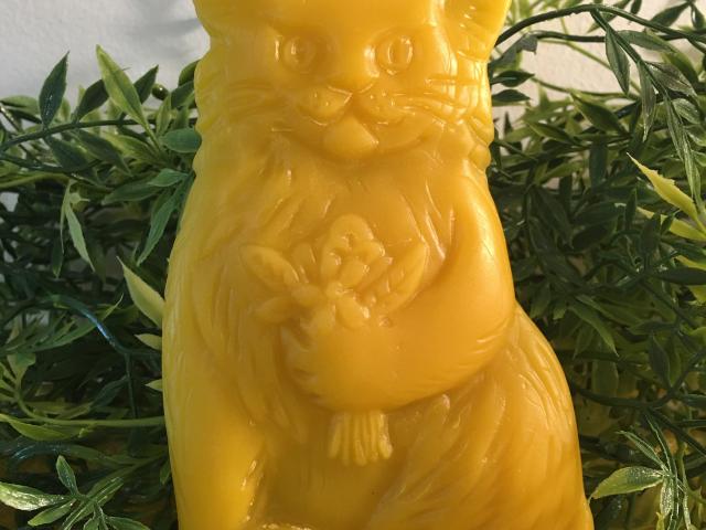Beeswax Fluffy Cat with Flowers