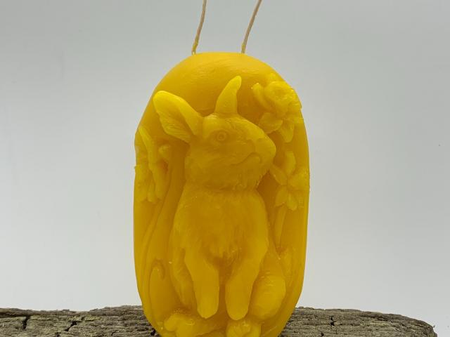 Beeswax Adorable Bunny with Daffodils Block
