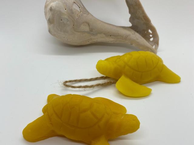 Beeswax Sea Turtle