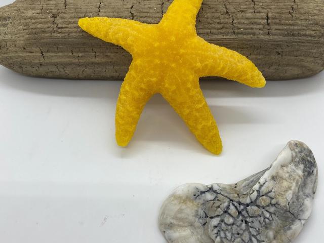 Beeswax Starfish