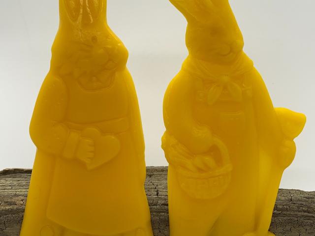 Farmer Rabbit and Mrs. Rabbit
